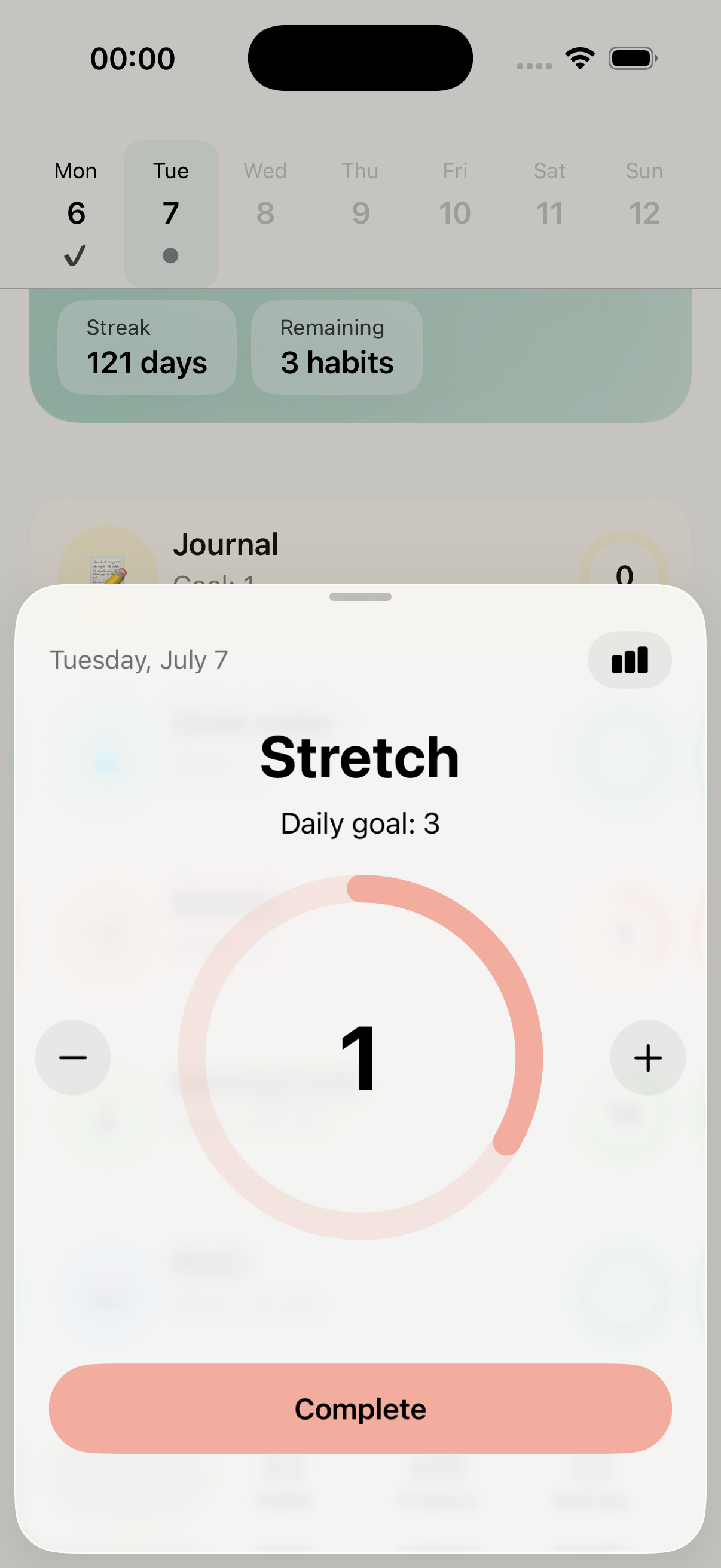 Today view with progress card, streak, and habit check-ins